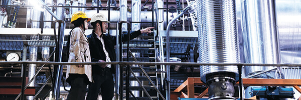 Male and female engineers discussing and pointing in plant.